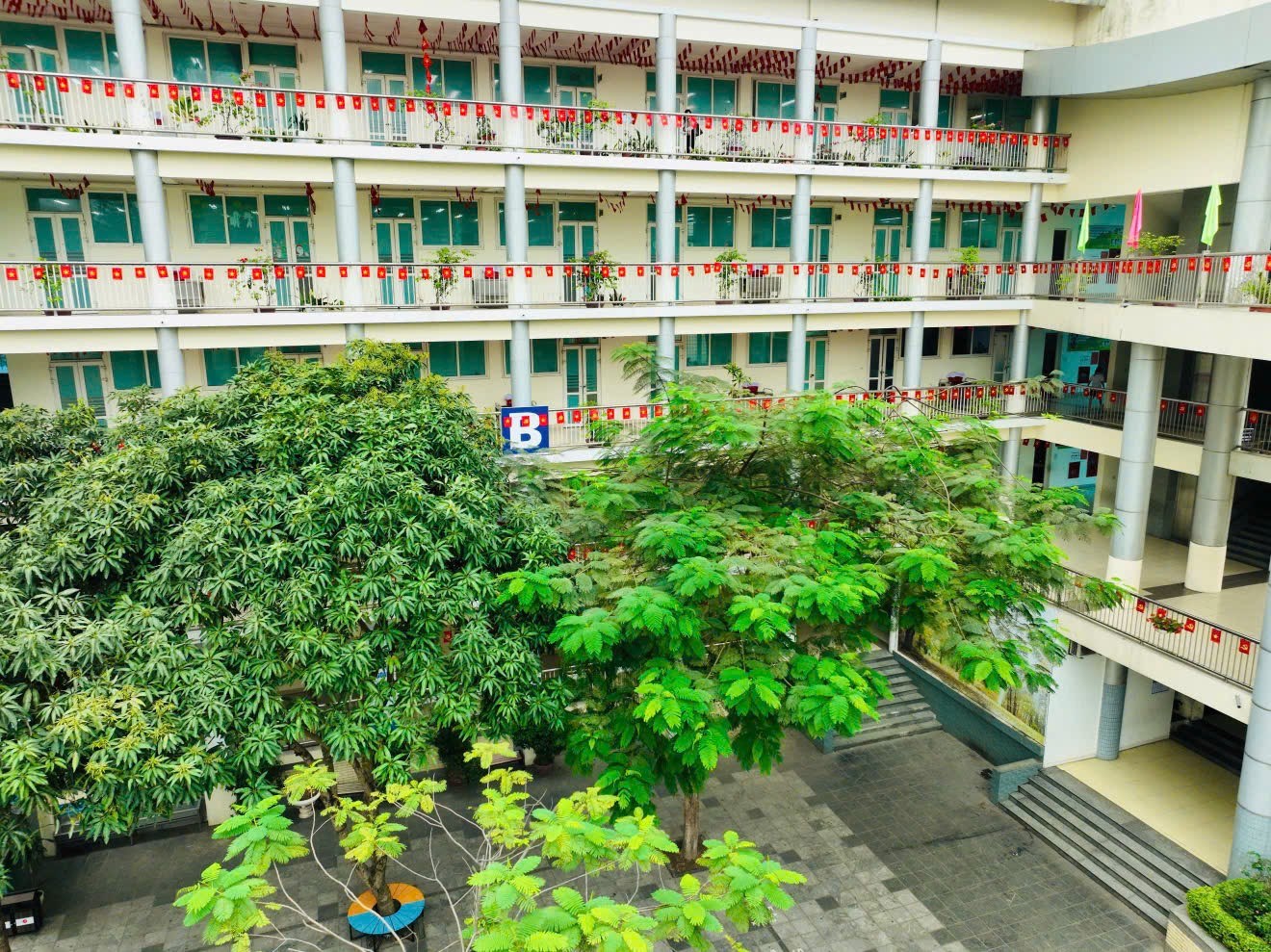 Ươm mầm những giấc mơ